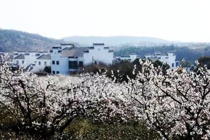 邢台廉洁故事系列:坚决革命的同志——董振堂