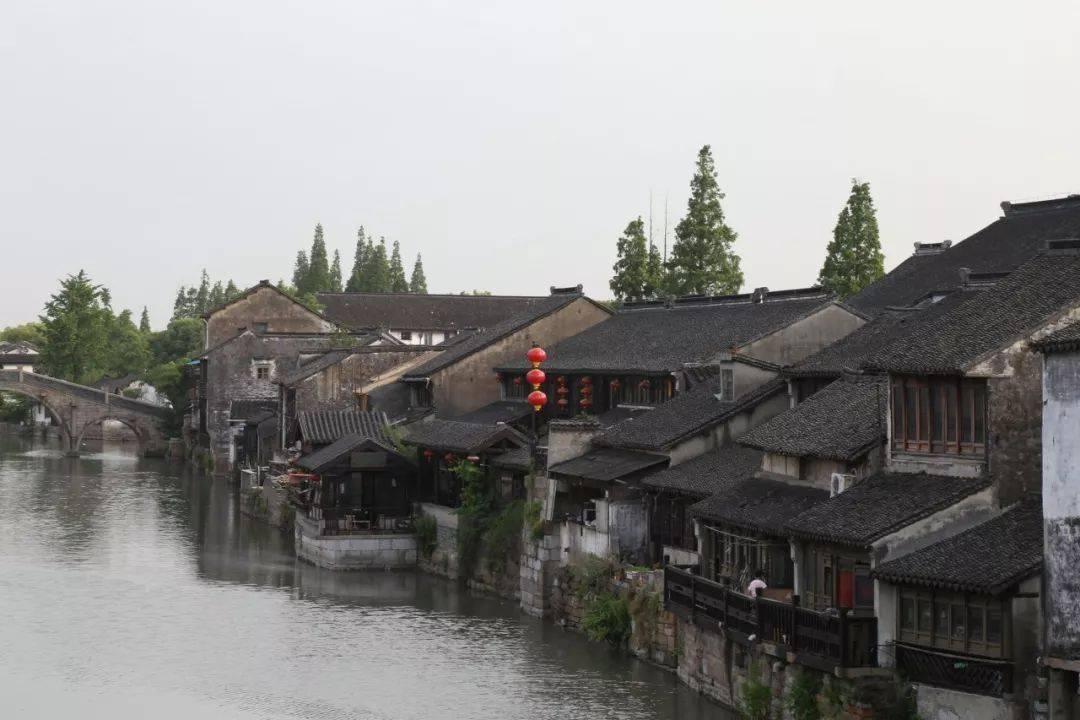 植物大战僵尸